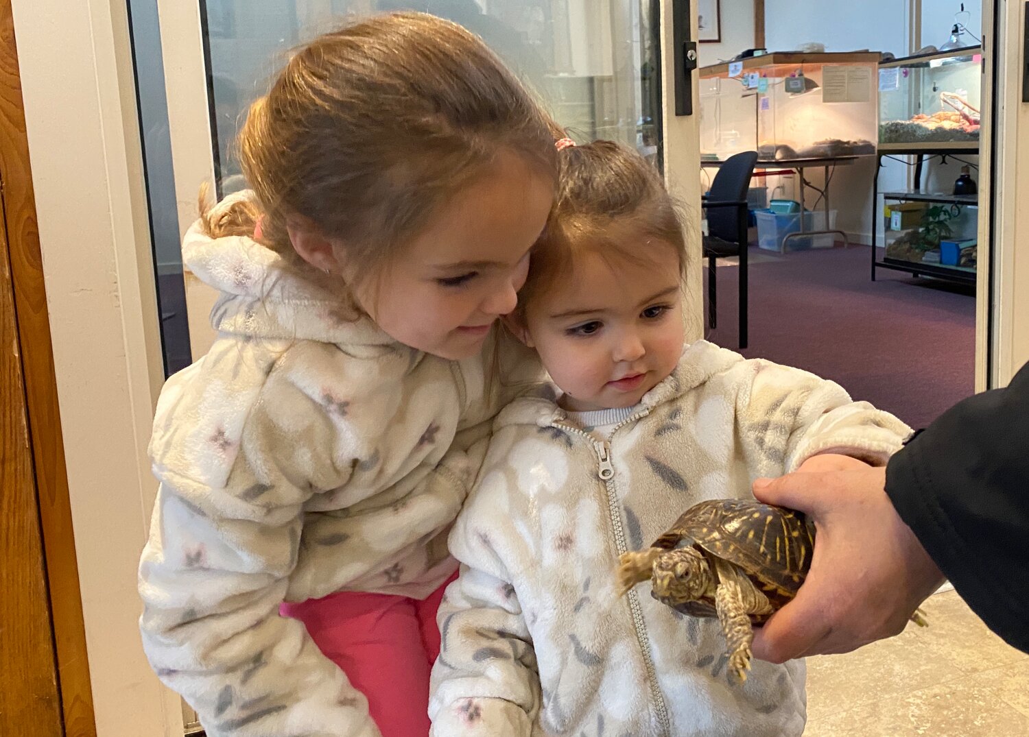 Children and Turtle at Audubon